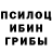 Псилоцибиновые грибы GOLDEN TEACHER Catherine Clark