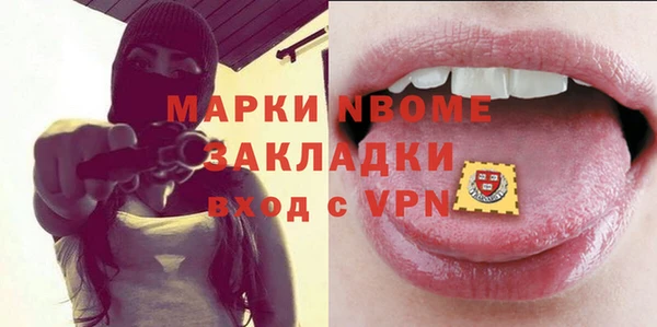 прущие грибы Краснослободск