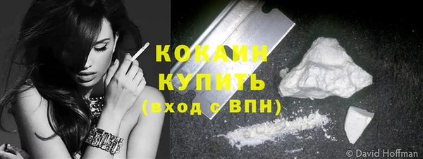 прущие грибы Краснослободск