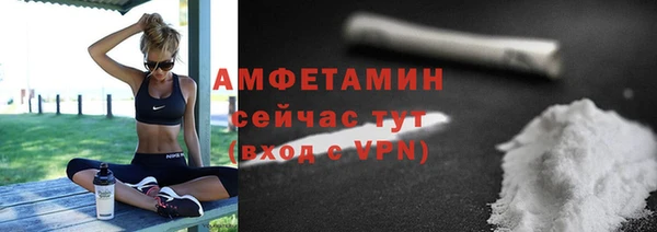 прущие грибы Краснослободск