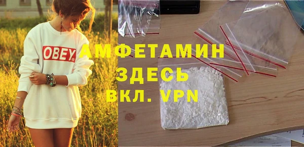 прущие грибы Краснослободск