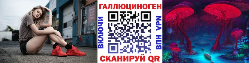 МЕГА ТОР  купить наркоту  Кызыл  Псилоцибиновые грибы мухоморы 